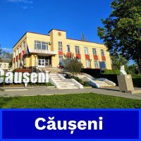 causeni-2